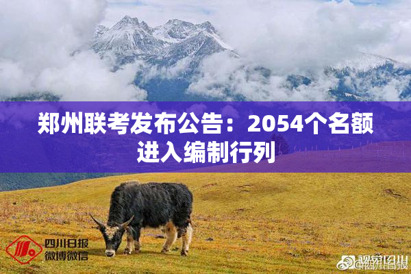 郑州联考发布公告：2054个名额进入编制行列