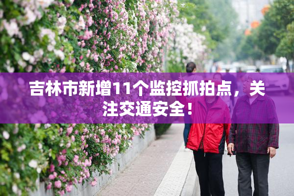 吉林市新增11个监控抓拍点，关注交通安全！