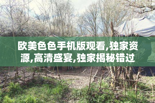 欧美色色手机版观看,独家资源,高清盛宴,独家揭秘错过