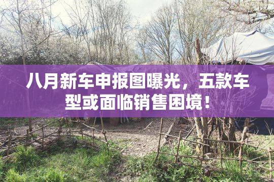 八月新车申报图曝光，五款车型或面临销售困境！
