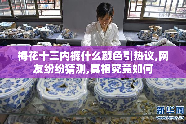 梅花十三内裤什么颜色引热议,网友纷纷猜测,真相究竟如何