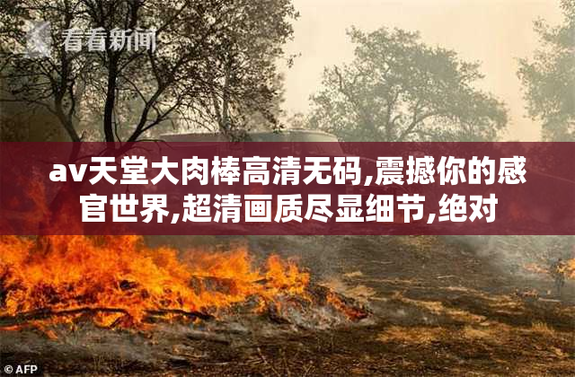 av天堂大肉棒高清无码,震撼你的感官世界,超清画质尽显细节,绝对