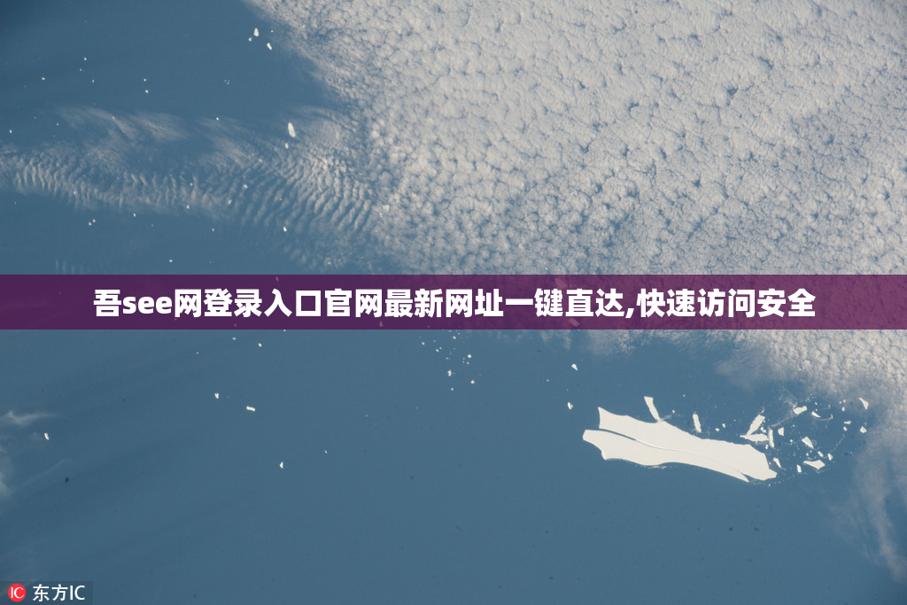 吾see网登录入口官网最新网址一键直达,快速访问安全
