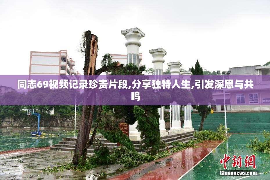 同志69视频记录珍贵片段,分享独特人生,引发深思与共鸣