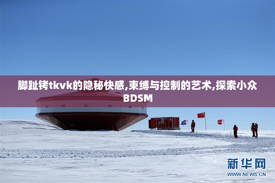 脚趾铐tkvk的隐秘快感,束缚与控制的艺术,探索小众BDSM
