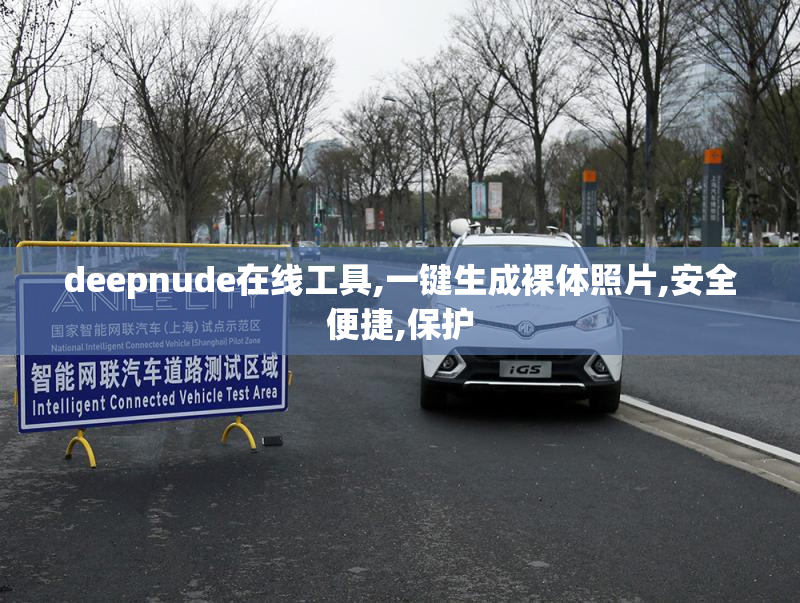 deepnude在线工具,一键生成裸体照片,安全便捷,保护
