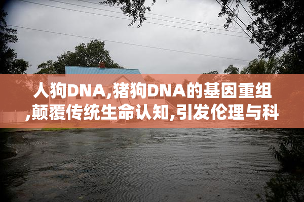 人狗DNA,猪狗DNA的基因重组,颠覆传统生命认知,引发伦理与科技的