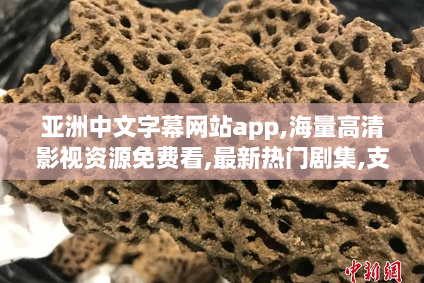 亚洲中文字幕网站app,海量高清影视资源免费看,最新热门剧集,支持