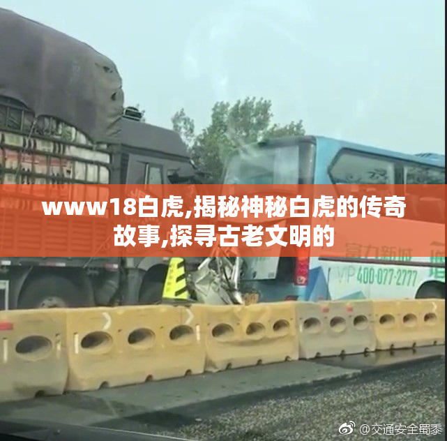 www18白虎,揭秘神秘白虎的传奇故事,探寻古老文明的