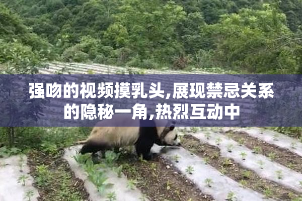 强吻的视频摸乳头,展现禁忌关系的隐秘一角,热烈互动中