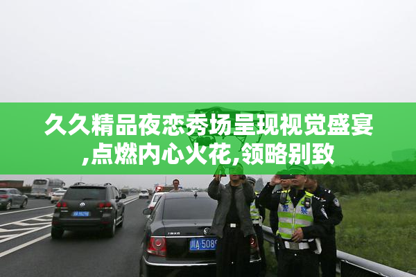 久久精品夜恋秀场呈现视觉盛宴,点燃内心火花,领略别致