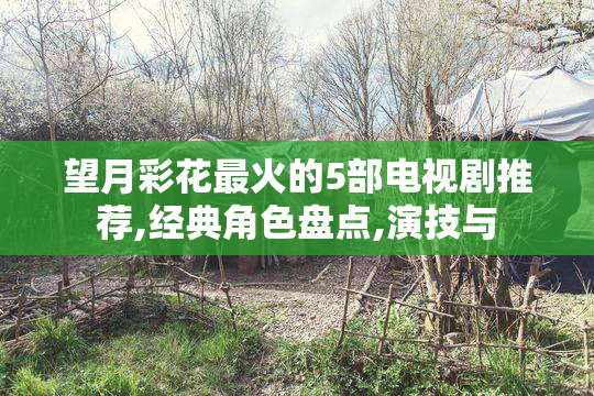 望月彩花最火的5部电视剧推荐,经典角色盘点,演技与