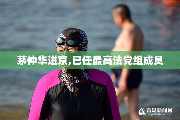 茅仲华进京,已任最高法党组成员
