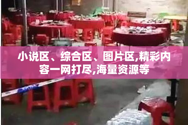 小说区、综合区、图片区,精彩内容一网打尽,海量资源等