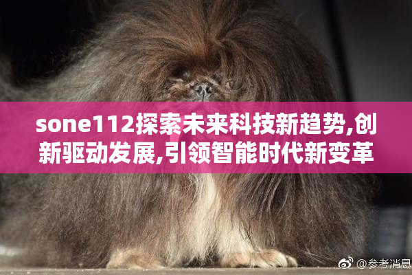 sone112探索未来科技新趋势,创新驱动发展,引领智能时代新变革