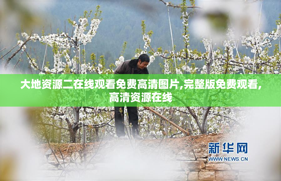 大地资源二在线观看免费高清图片,完整版免费观看,高清资源在线
