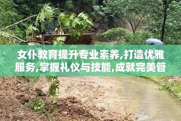 女仆教育提升专业素养,打造优雅服务,掌握礼仪与技能,成就完美管家