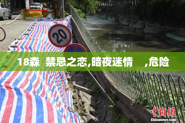 18森  禁忌之恋,暗夜迷情    ,危险