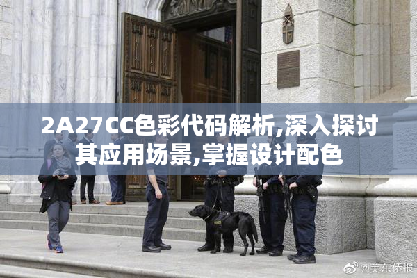 2A27CC色彩代码解析,深入探讨其应用场景,掌握设计配色