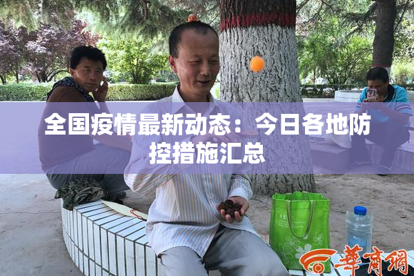 全国疫情最新动态：今日各地防控措施汇总