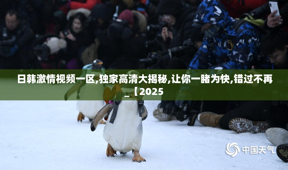 日韩激情视频一区,独家高清大揭秘,让你一睹为快,错过不再_【2025