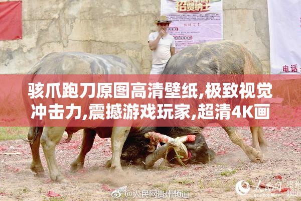 骇爪跑刀原图高清壁纸,极致视觉冲击力,震撼游戏玩家,超清4K画质