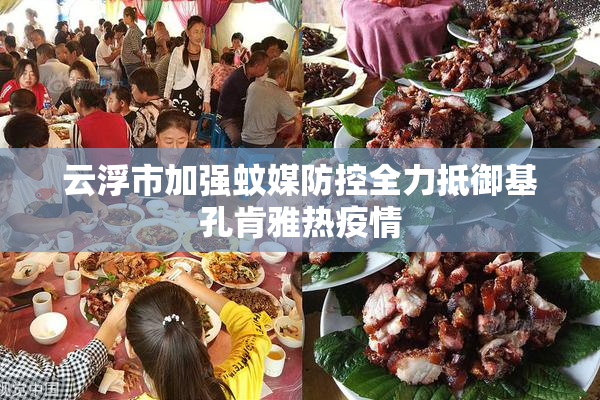 云浮市加强蚊媒防控全力抵御基孔肯雅热疫情