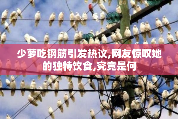 少萝吃钢筋引发热议,网友惊叹她的独特饮食,究竟是何