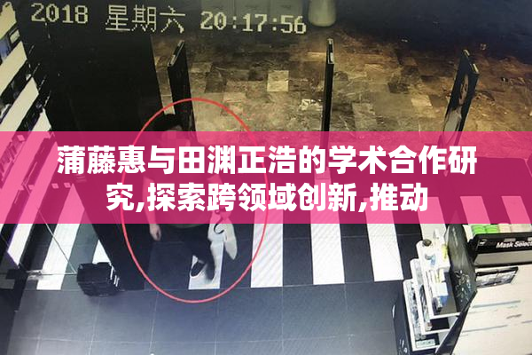 蒲藤惠与田渊正浩的学术合作研究,探索跨领域创新,推动