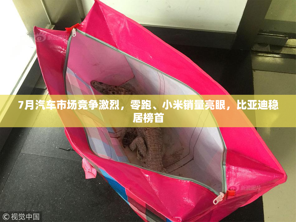 7月汽车市场竞争激烈，零跑、小米销量亮眼，比亚迪稳居榜首