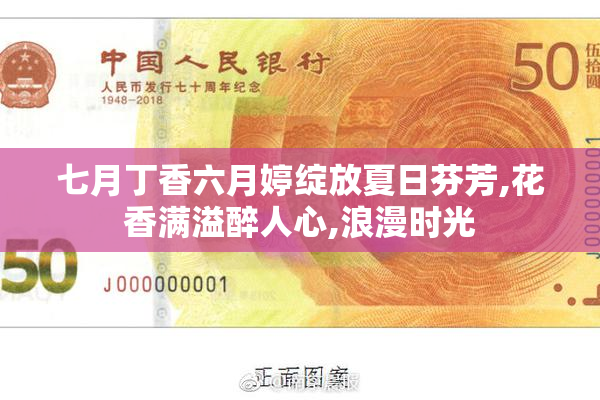 七月丁香六月婷绽放夏日芬芳,花香满溢醉人心,浪漫时光
