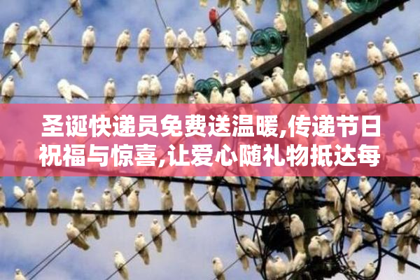 圣诞快递员免费送温暖,传递节日祝福与惊喜,让爱心随礼物抵达每个