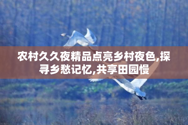 农村久久夜精品点亮乡村夜色,探寻乡愁记忆,共享田园慢