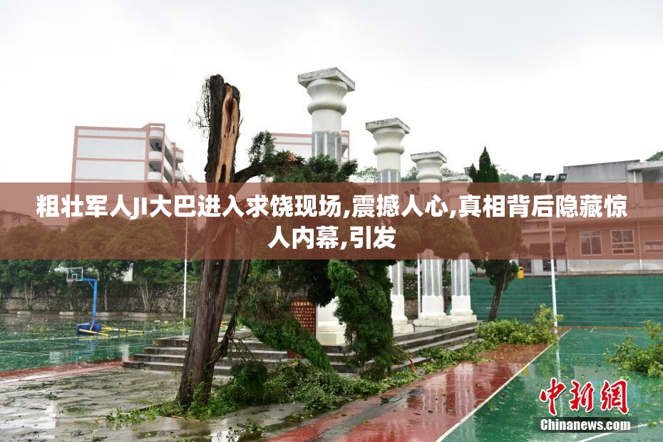 粗壮军人JI大巴进入求饶现场,震撼人心,真相背后隐藏惊人内幕,引发