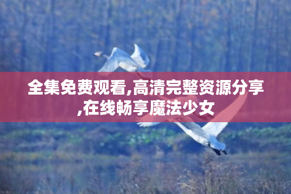 全集免费观看,高清完整资源分享,在线畅享魔法少女