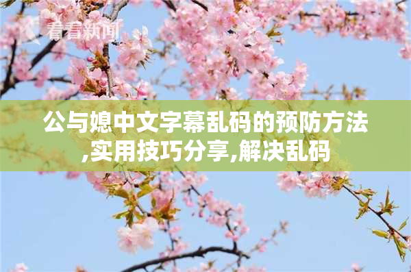 公与媳中文字幕乱码的预防方法,实用技巧分享,解决乱码