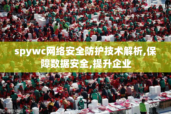 spywc网络安全防护技术解析,保障数据安全,提升企业