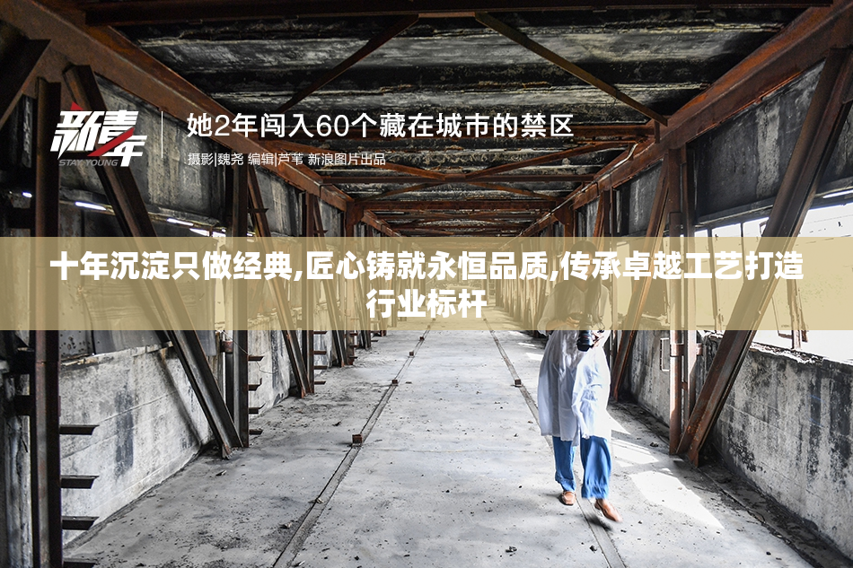 十年沉淀只做经典,匠心铸就永恒品质,传承卓越工艺打造行业标杆