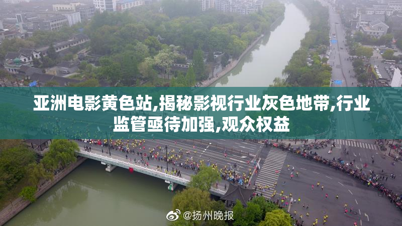 亚洲电影黄色站,揭秘影视行业灰色地带,行业监管亟待加强,观众权益