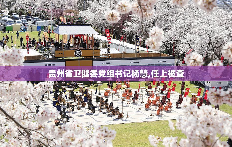 贵州省卫健委党组书记杨慧,任上被查