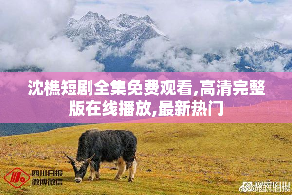 沈樵短剧全集免费观看,高清完整版在线播放,最新热门