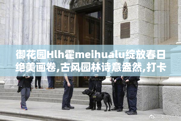 御花园Hlh霍meihualu绽放春日绝美画卷,古风园林诗意盎然,打卡必去