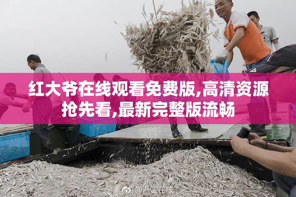 红大爷在线观看免费版,高清资源抢先看,最新完整版流畅