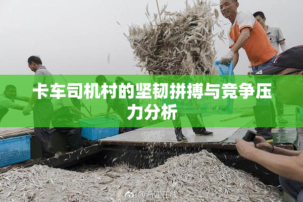 卡车司机村的坚韧拼搏与竞争压力分析