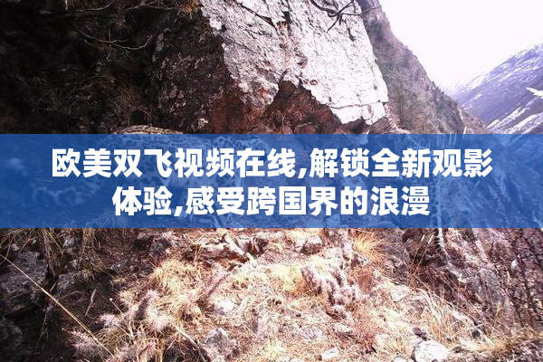 欧美双飞视频在线,解锁全新观影体验,感受跨国界的浪漫
