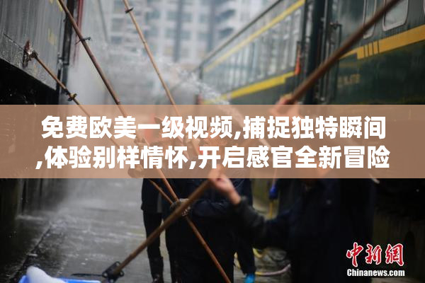 免费欧美一级视频,捕捉独特瞬间,体验别样情怀,开启感官全新冒险