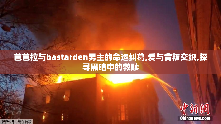 芭芭拉与bastarden男主的命运纠葛,爱与背叛交织,探寻黑暗中的救赎