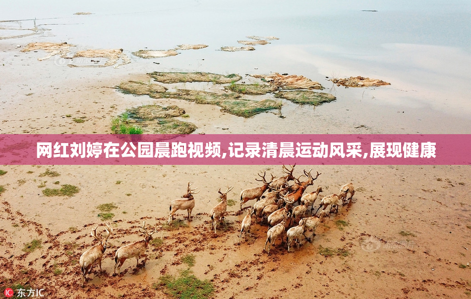 网红刘婷在公园晨跑视频,记录清晨运动风采,展现健康