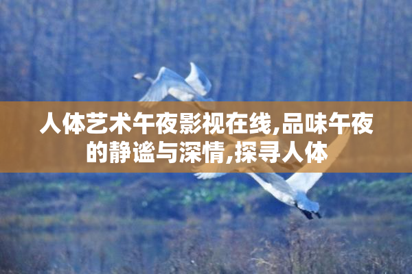 人体艺术午夜影视在线,品味午夜的静谧与深情,探寻人体