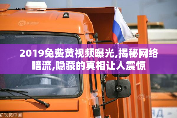 2019免费黄视频曝光,揭秘网络暗流,隐藏的真相让人震惊